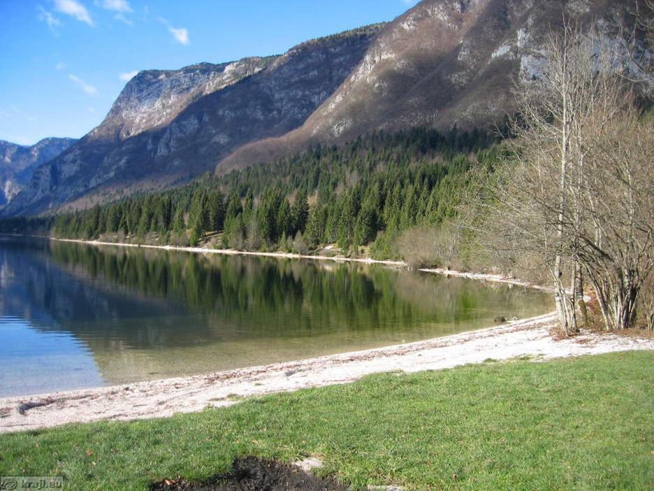 Boutique House Vresje Villa Bohinjska Bistrica Buitenkant foto